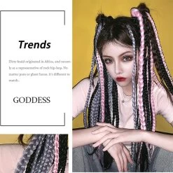 Cute Dyeing Braid Wigs -Kawaii Fashion Shop Hair long Braids color Hair Braids Hair Extensions Cute Synthetic Braiding Hair For Daily Party African 3